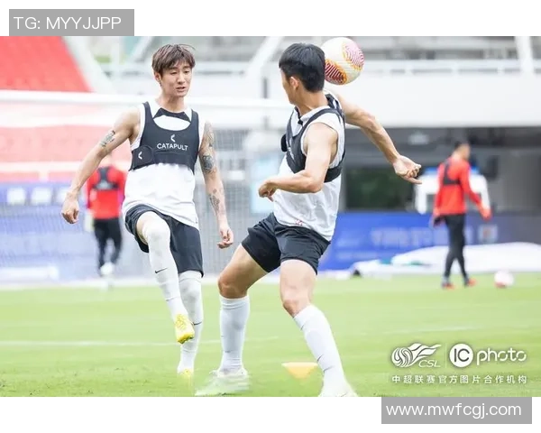 成都排球队个人能力引发热议球迷对选手表现各抒己见